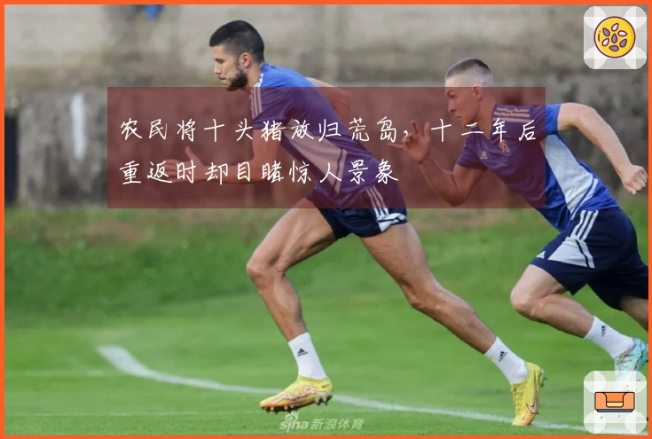 农民将十头猪放归荒岛，十二年后重返时却目睹惊人景象